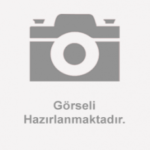 EPS BEYNİ (D2)